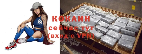 хмурый Бородино