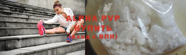 хмурый Бородино