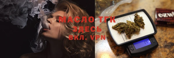 хмурый Бородино