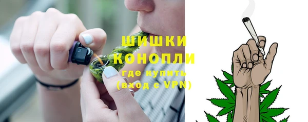 хмурый Бородино