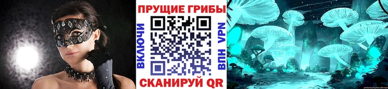 это формула  где найти   Отрадная  Псилоцибиновые грибы Magic Shrooms 